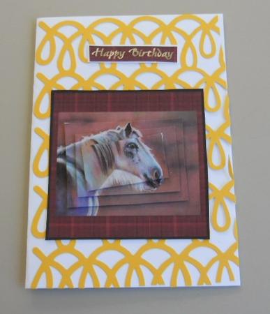 White Horse by Kathi Carlozzi