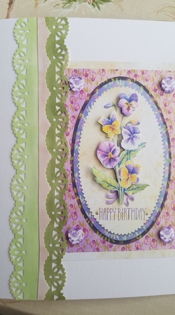 Birthday pansy by Kathleen Francis