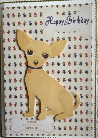 Dogs World Birthday  by Kathleen Francis
