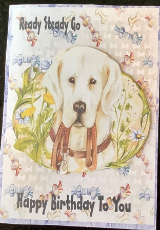 Pretty Boy Birthday by Kathleen Francis