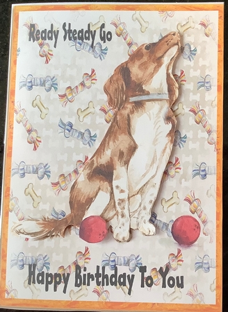 Play Ball Birthday by Kathleen Francis