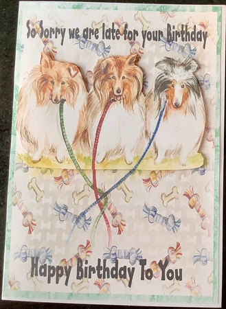 Sorry Its Late Birthday by Kathleen Francis