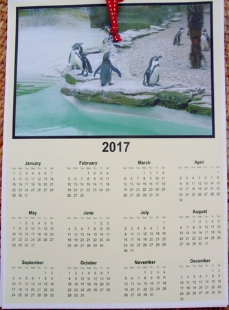 pengiuns having fun by Kathleen Francis