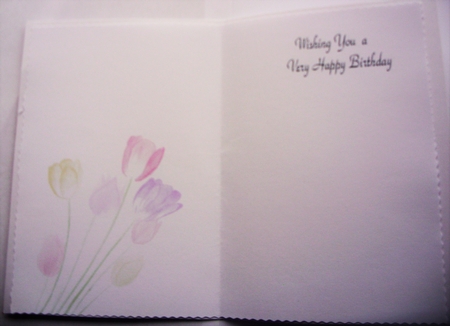 Tulips Insert by Kathleen Francis