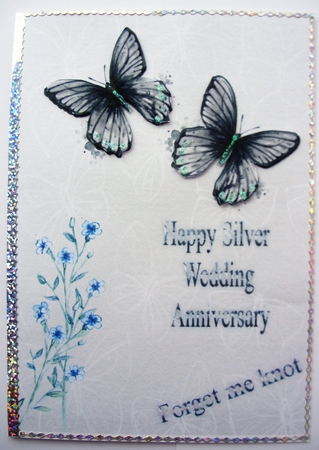 Silver Wedding Anniversary by Kathleen Francis