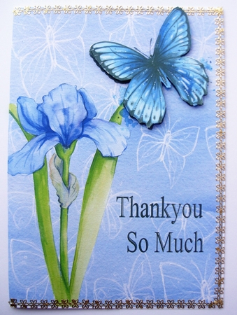  Thankyou,  Blue Iris by Kathleen Francis