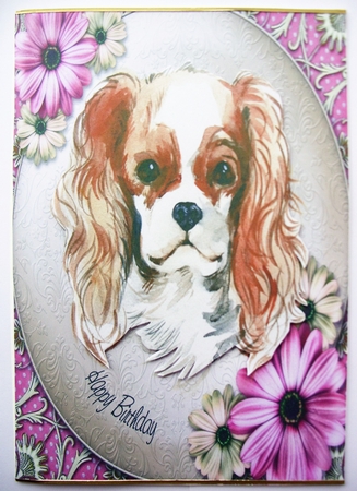 Spaniel   -  Happy Birthday by Kathleen Francis