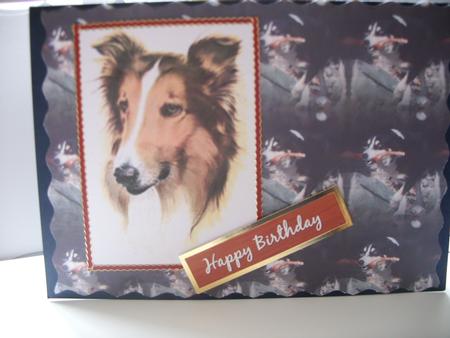 Happy Dog with Stick Background by Kathleen Francis