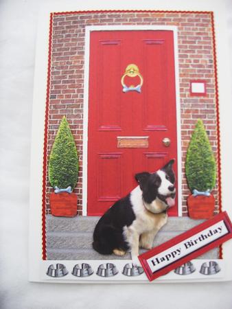 Border Collie with a Red Door by Kathleen Francis