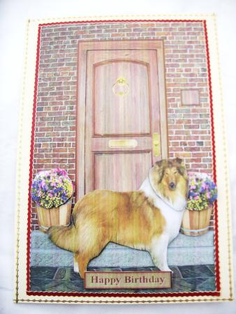 Rough Collie on a Door Step by Kathleen Francis