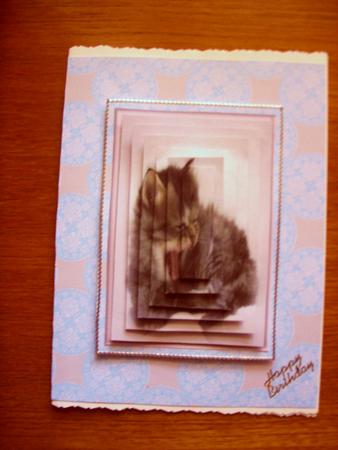 Sleepy Cat 2 by Kathleen Francis