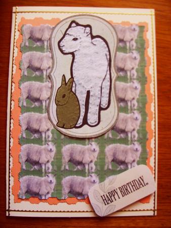 Sheep & Lamb Background by Kathleen Francis