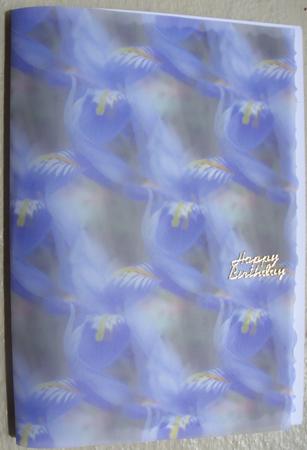 Blue Iris Vellum by Kathleen Francis