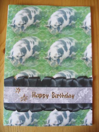 Pig Pink & Black Background by Kathleen Francis