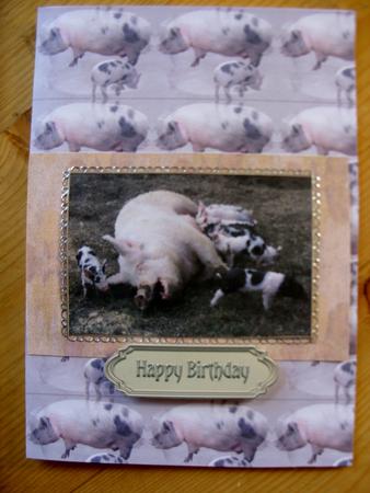 Pig Mum & Piglet Background by Kathleen Francis