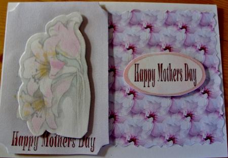 Pink Blossom Background by Kathleen Francis