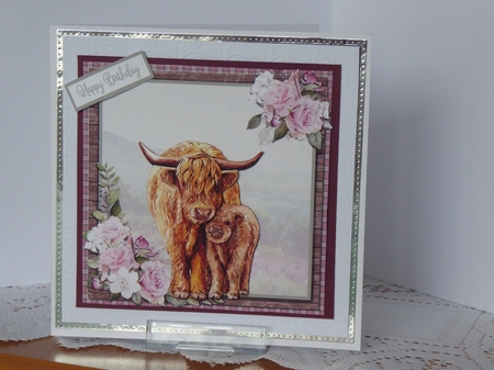 HIGHLAND COWS by Kathleen Peace