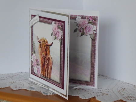 HIGHLAND COWS by Kathleen Peace