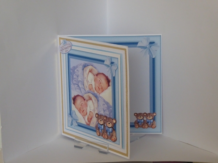 Baby Boy Twins by Kathleen Peace