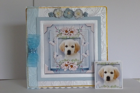 Golden Puppy 1 by Kathleen Peace