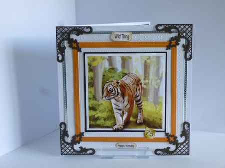 Go wild - tiger mini kit & decoupage by Kathleen Peace