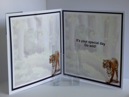 Go wild - tiger mini kit & decoupage by Kathleen Peace