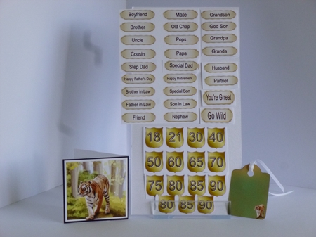 Go wild - tiger mini kit & decoupage by Kathleen Peace
