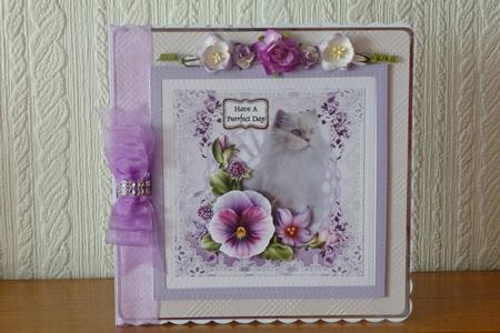 Cat in the Pansies by Kathleen Peace
