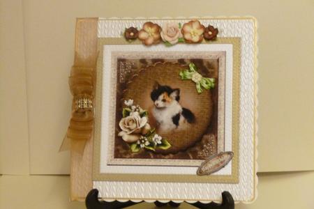 Cat by Kathleen Peace