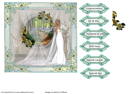 Wedding Dreams by Kathryn Shevill