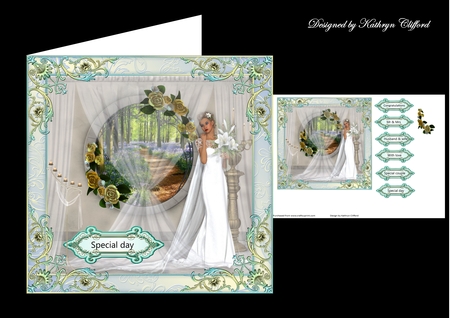 Wedding Dreams by Kathryn Shevill