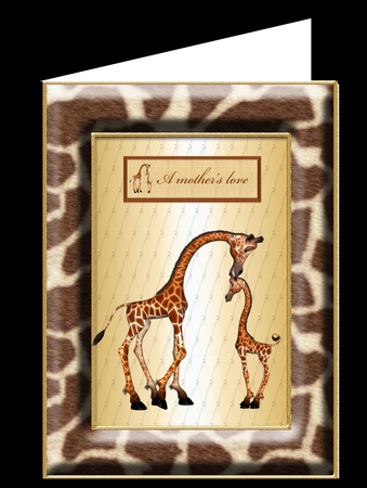 Cute Giraffe by Kathryn Shevill