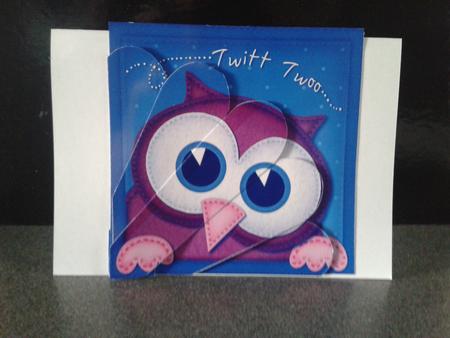 Hoot Wise Owl Fan Pyramage Topper by Kathryn Gisby