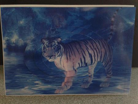 Mountain Tiger Oval Pyramid by Kathryn Gisby