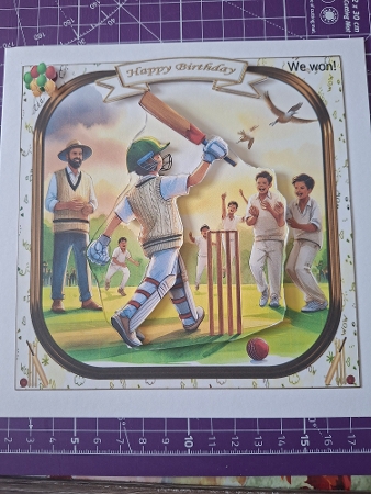 CRICKET BOYS   Featured Gallery Photo