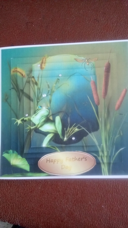 Dreamy Frogs 5 - 3D Pyramid/pyrimage + Insert & Gift Tag by Kathleen Collison