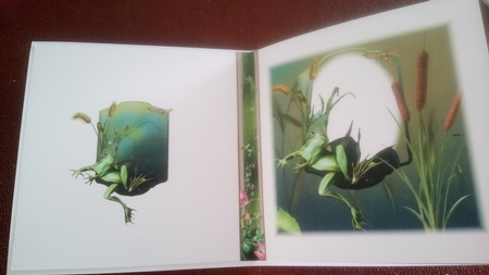 Dreamy Frogs 5 - 3D Pyramid/pyrimage + Insert & Gift Tag by Kathleen Collison