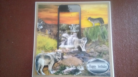 wolves at the waterfall by Kathleen Collison