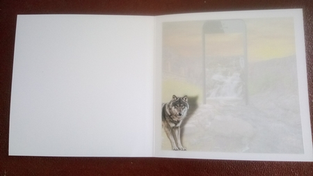 wolves at the waterfall by Kathleen Collison