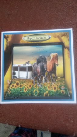 horses in the meadow by Kathleen Collison