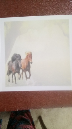 horses in the meadow by Kathleen Collison