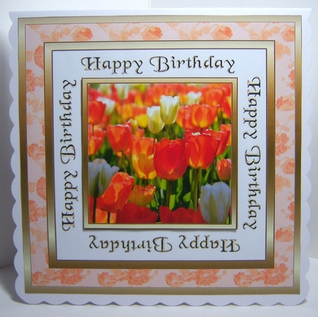 SC Orange tulips by Katie Silver