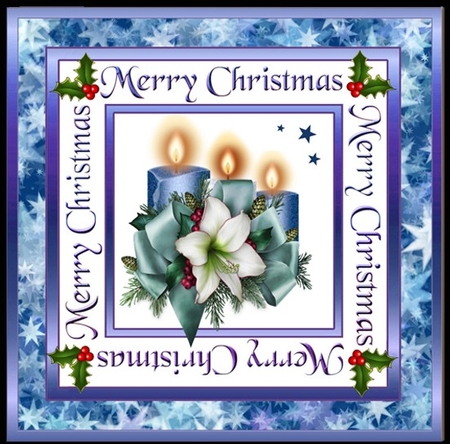 SC Christmas Lily & candles by Katie Silver