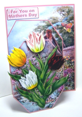 Concertina Front - Walled Garden by Katie Silver