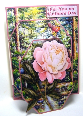 Concertina Front - Woodland by Katie Silver