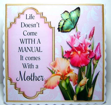 Life doesnt come with a manual by Katie Silver