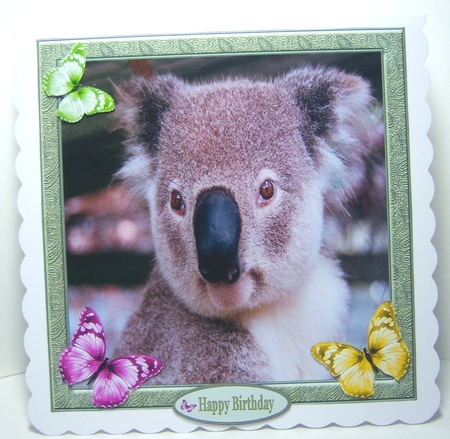 Sweet Little Koala 7x7 by Katie Silver