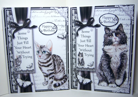 A5 Cats Bumper Kit by Katie Silver