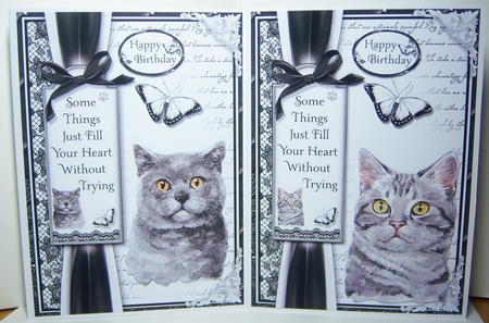 A5 Cats Bumper Kit by Katie Silver
