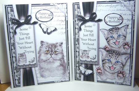 A5 Cats Bumper Kit by Katie Silver
